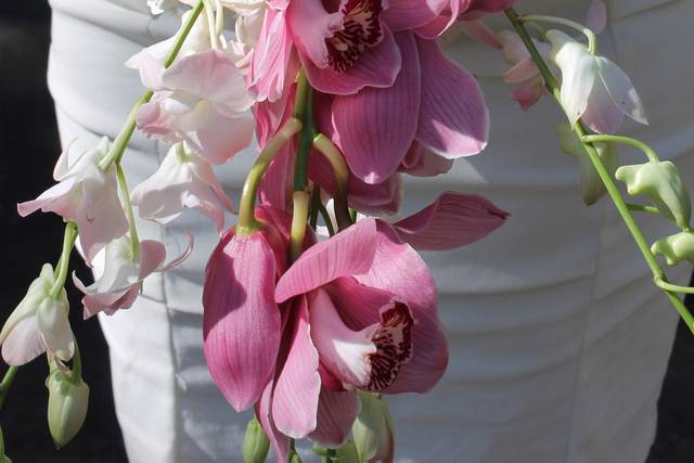 La Petite Fleur Miami