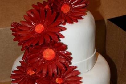 Gerbera Daisies