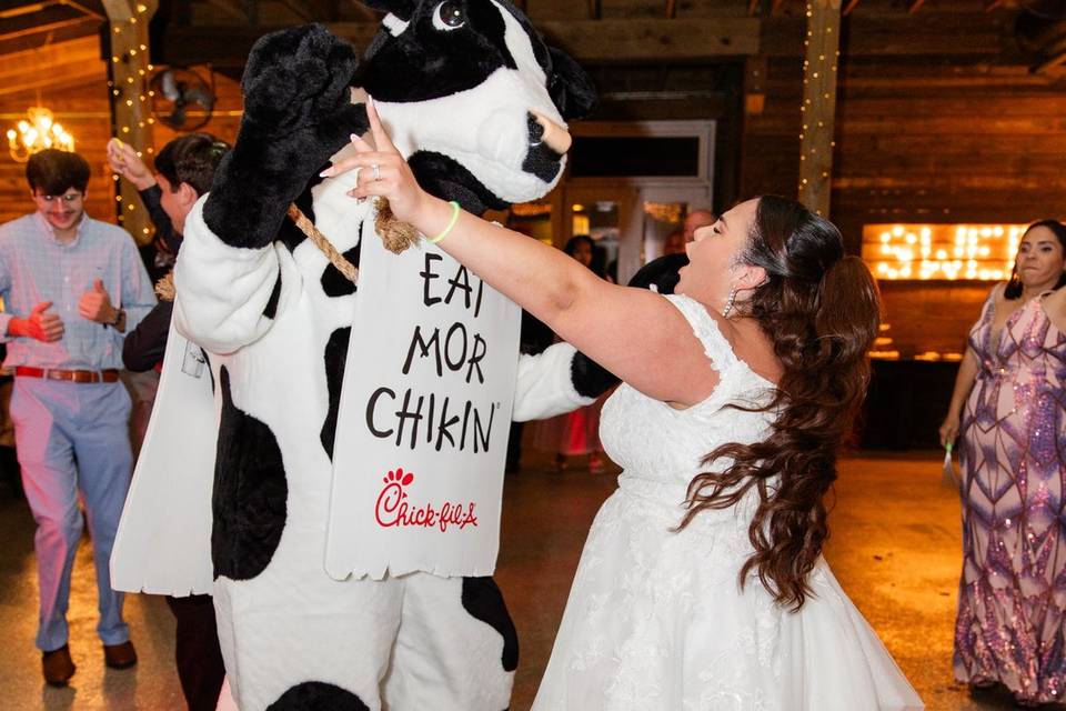 Chickfila cow loves to party
