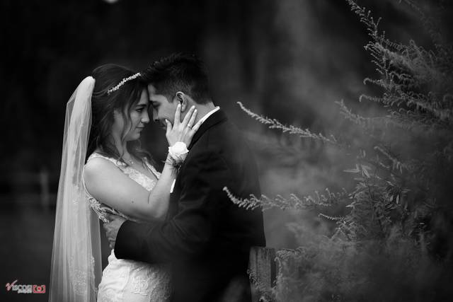 Viscosi Photography