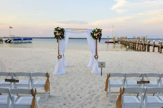 Hummingbirds Flowers & Events
