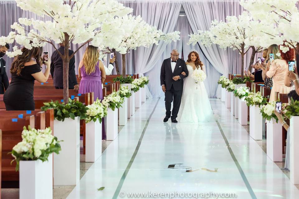 The stunning bride entrance