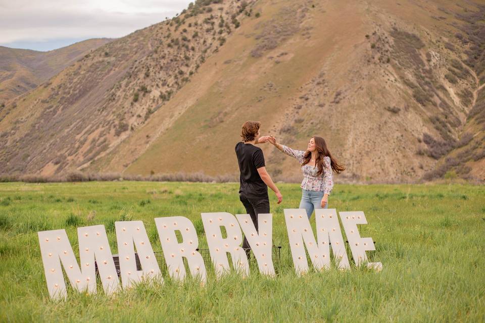 Proposal