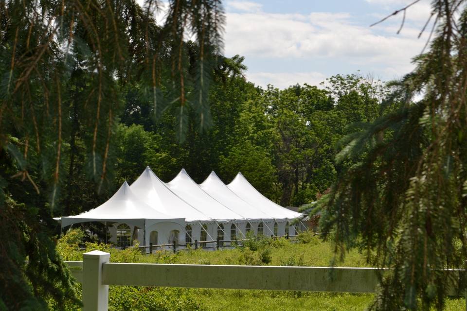 Ocean Tents-Large Martini Glass