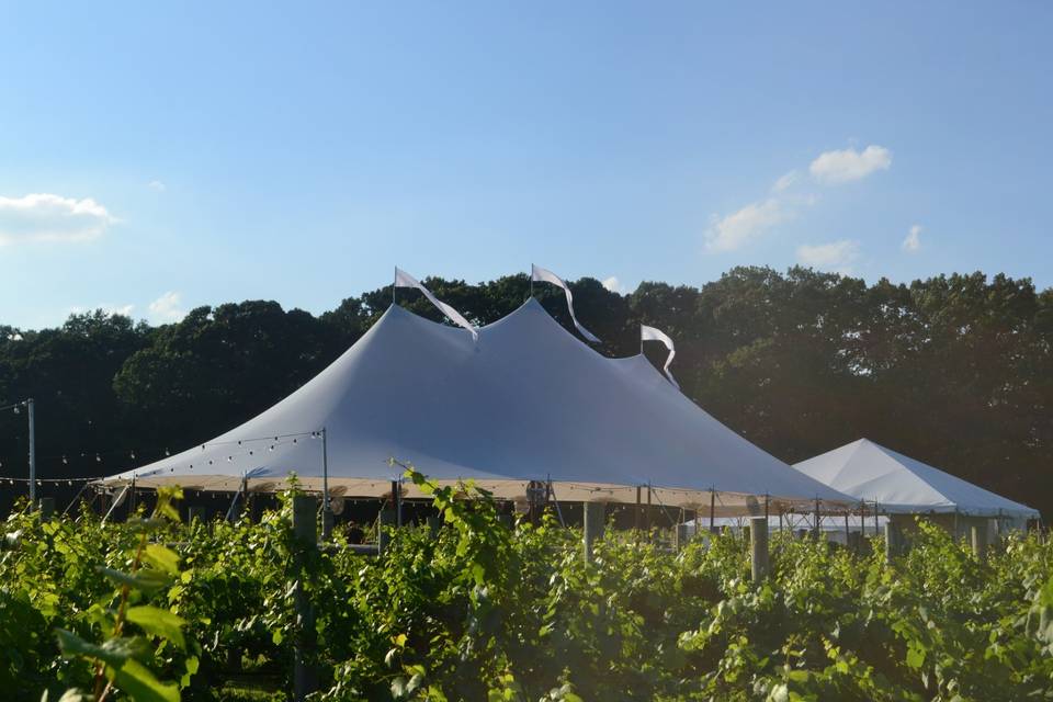 Ocean Tents & Party Rentals