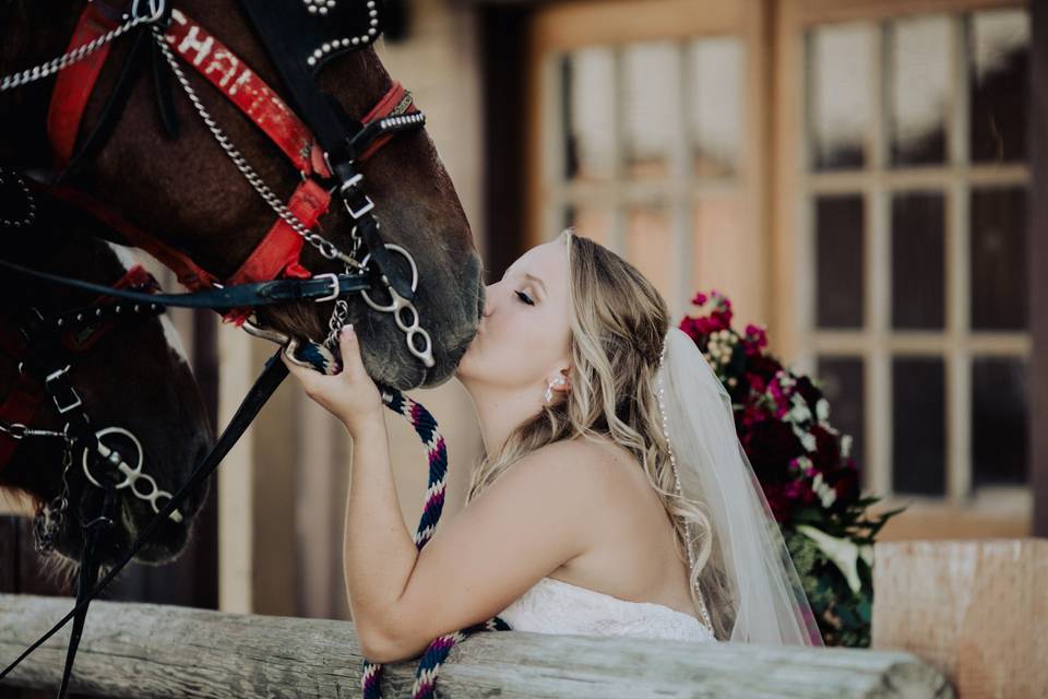 The bride and the horse