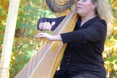 Elizabeth Ahlgrim, Harpist