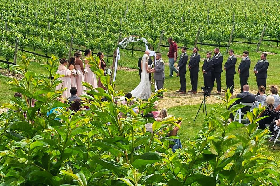 Our Vinyard Wedding