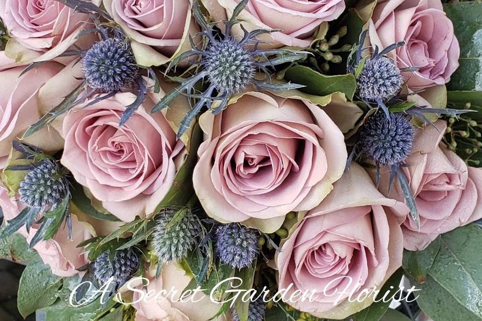 Amnesia roses and sea holly