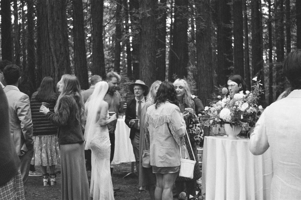 Oakland Hills Wedding on 35mm