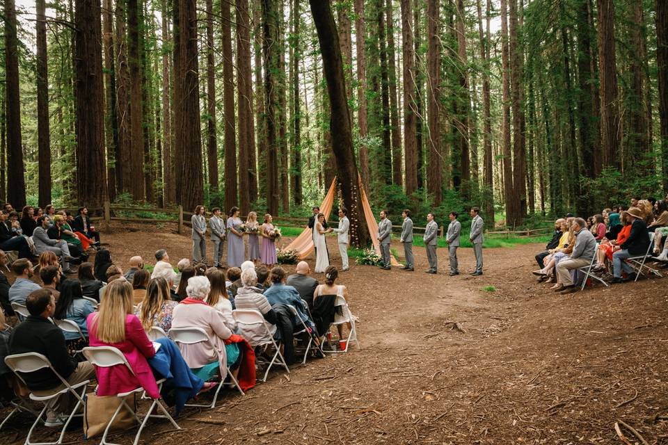 Oakland forest ceremony
