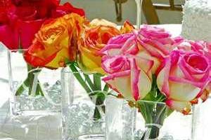 Events & Occasions!