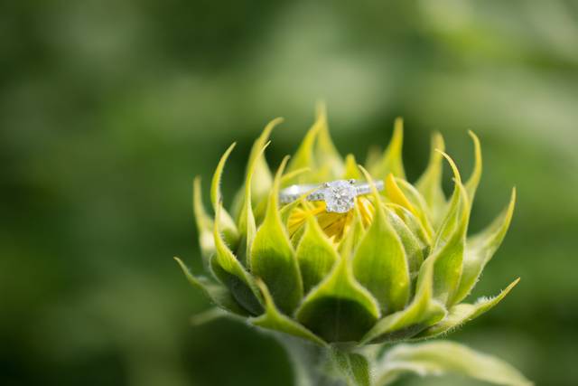 Engagement Session
