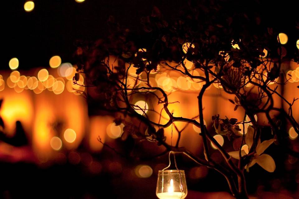 Daisy Varley Photography