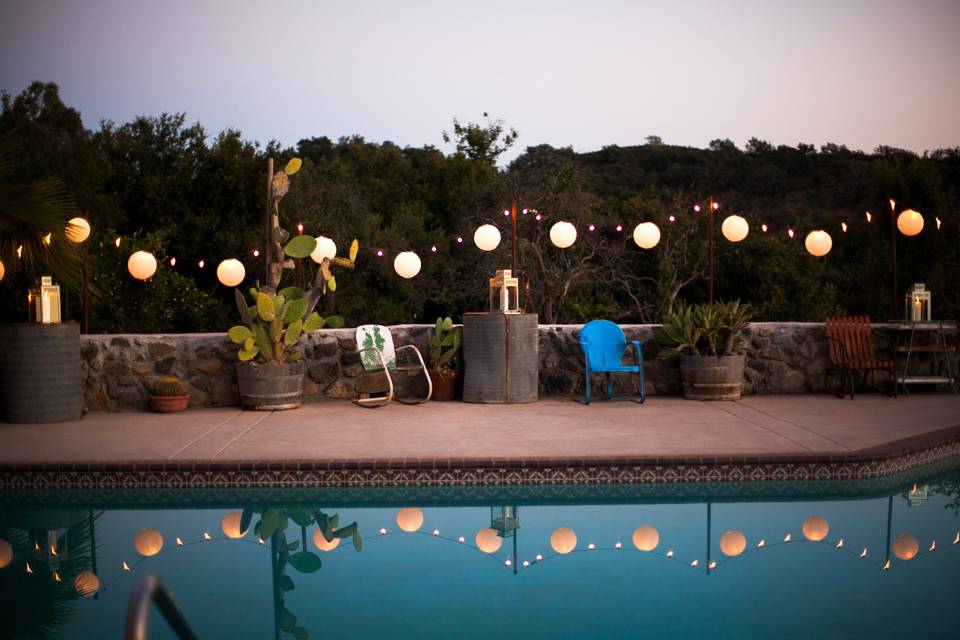 Daisy Varley Photography