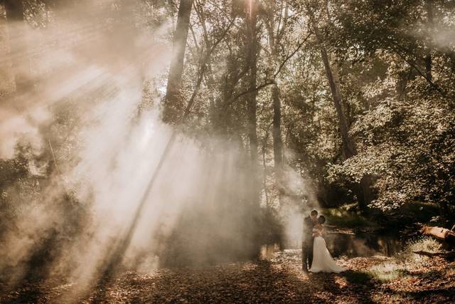 Paula Bartosiewicz Photography