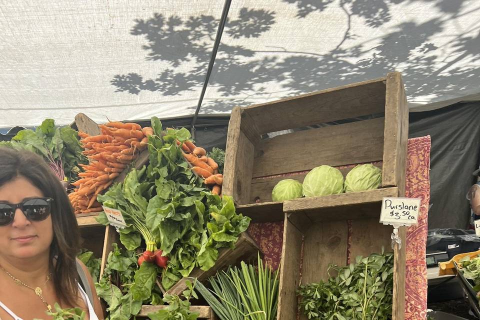 Organic Farm to Table Shopping