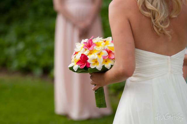 Hughes PhotoGraphics