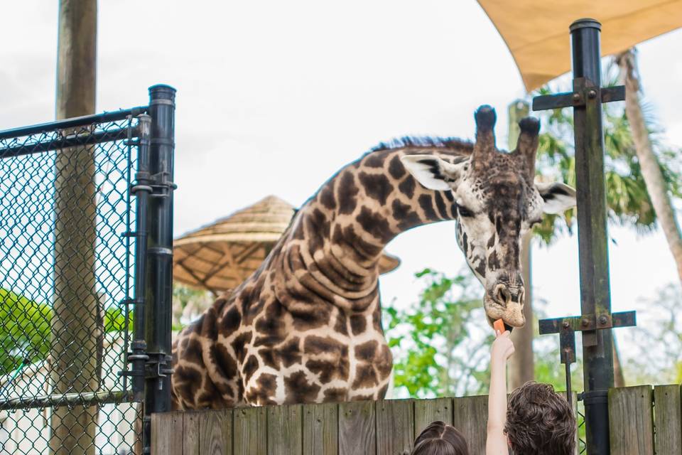 Central Florida Zoo