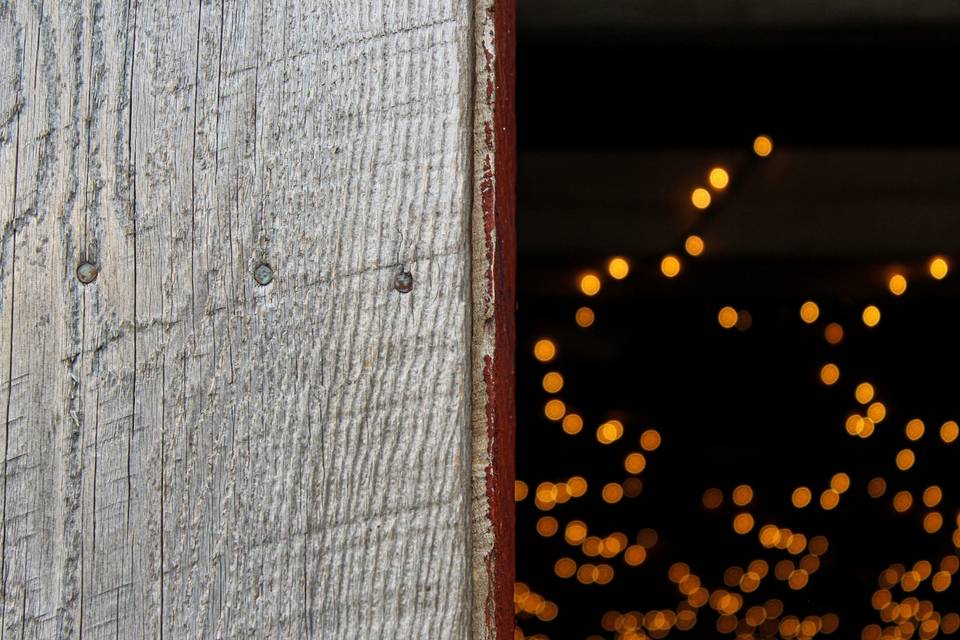 Barn wood & lights