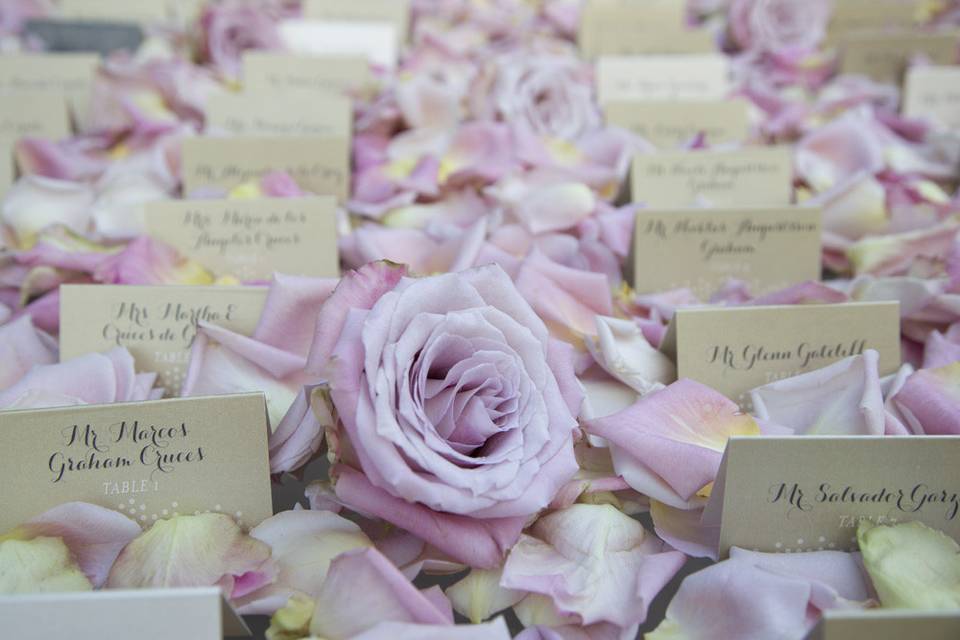 Escort Cards and Rose Petals
