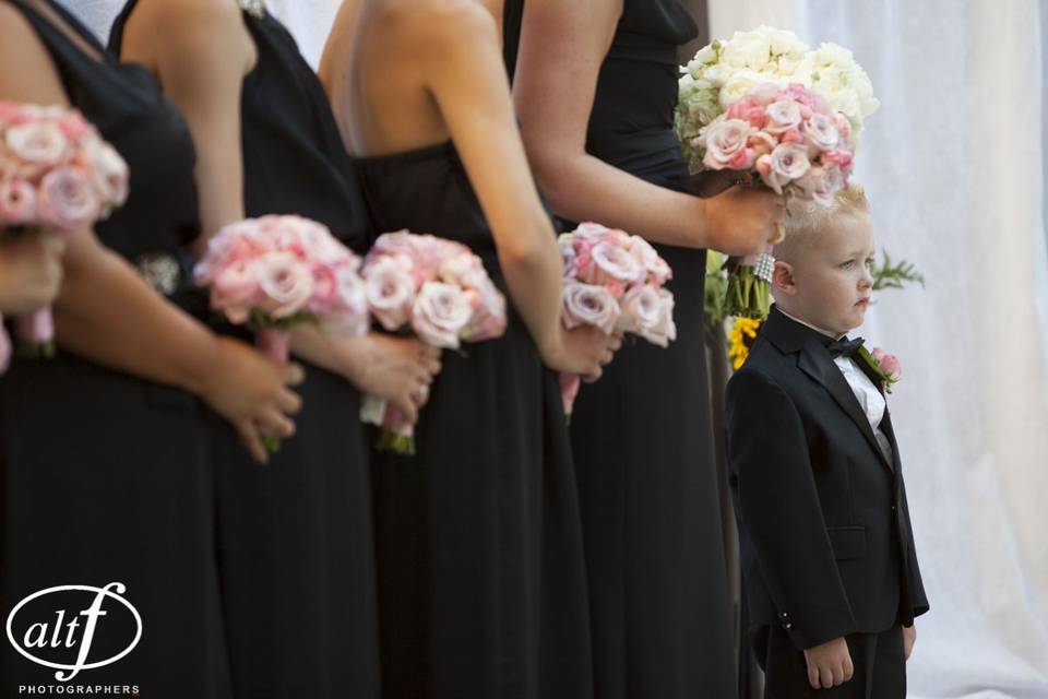 Pink Roses against Black Dresses