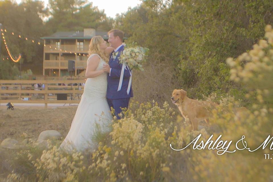 Newlyweds kissing in a pasture