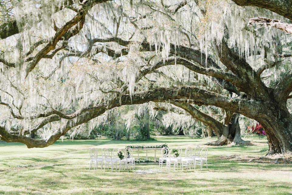 Under the Oaks