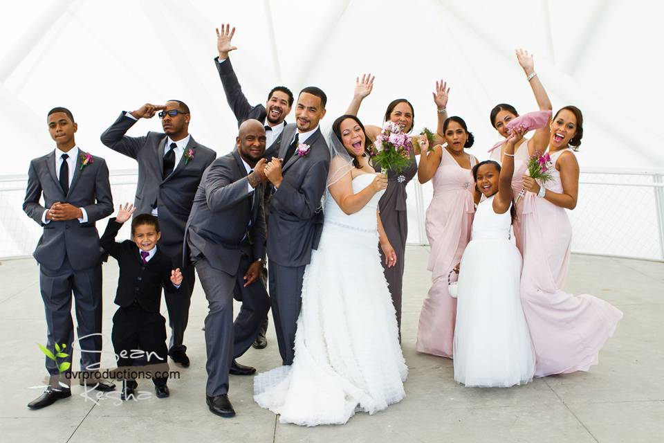 DVR Productions -Wedding Cinema
