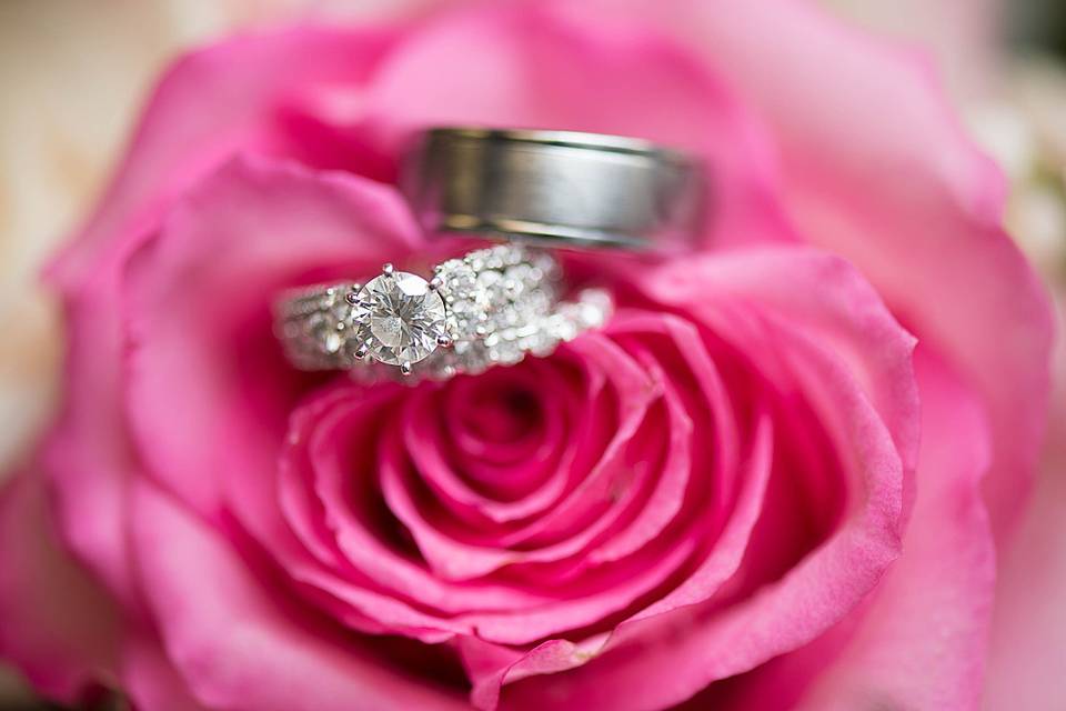 Pink rose and rings