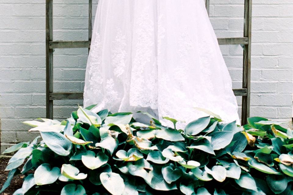 Wedding dress