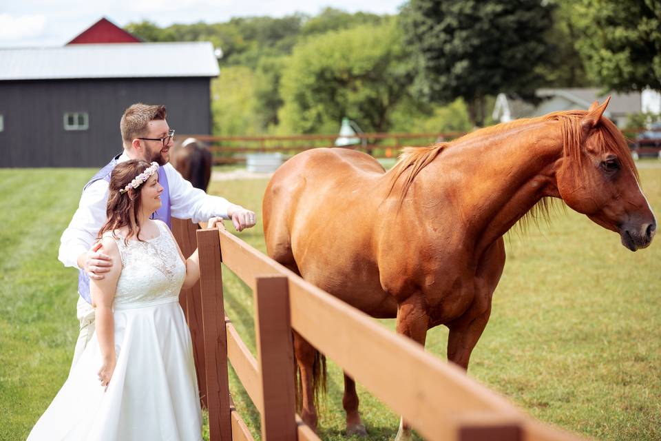 Wedding at the farm