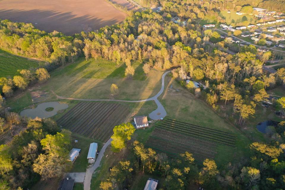 Aerial View of the Property
