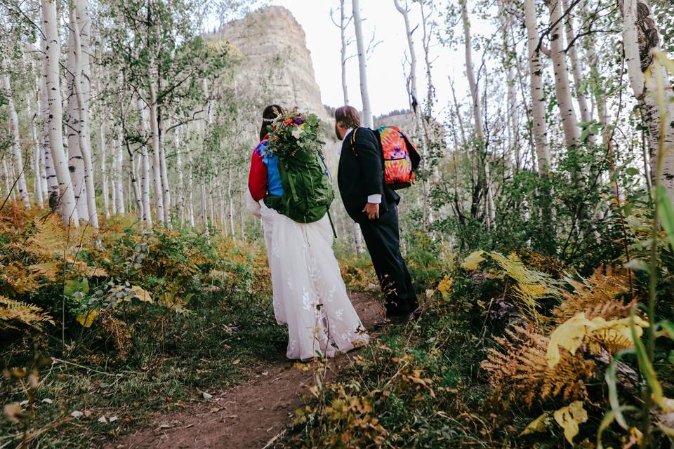 Trail climb to summit