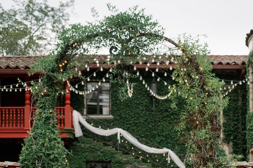 By Carla Lawrence Photography