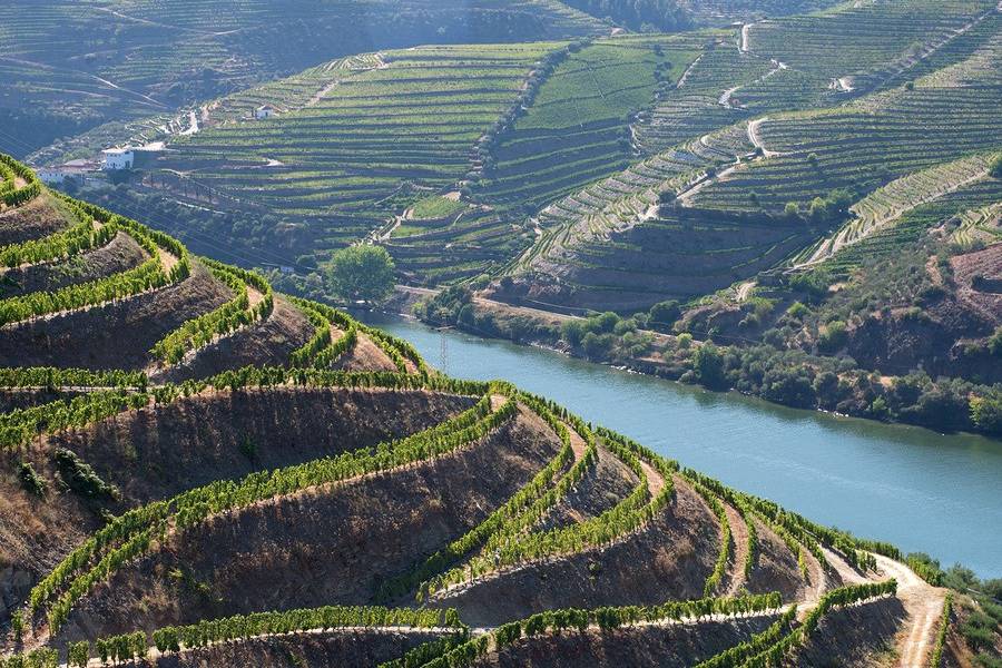 Protugal's Douro River