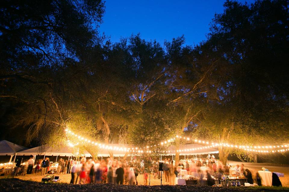 Hidden Oaks: Private Weddings & Events