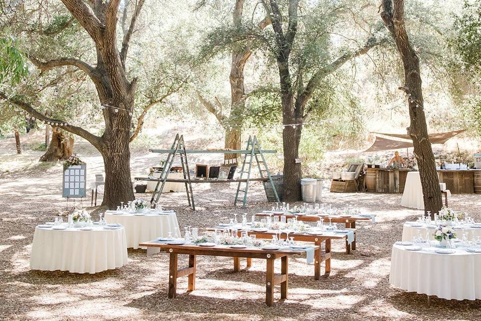 Reception area - mixed tables