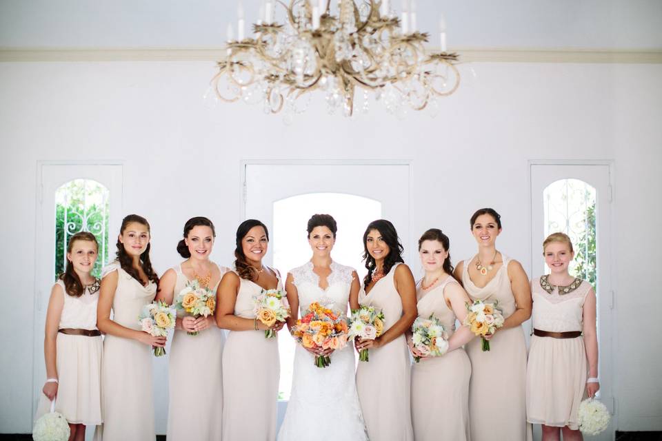 Beautiful Brides By Veronica