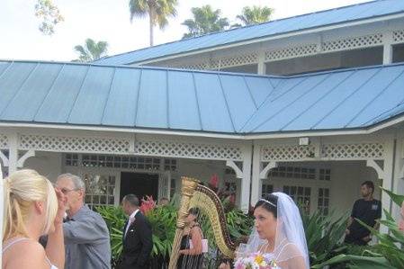 Harpist for the garden wedding