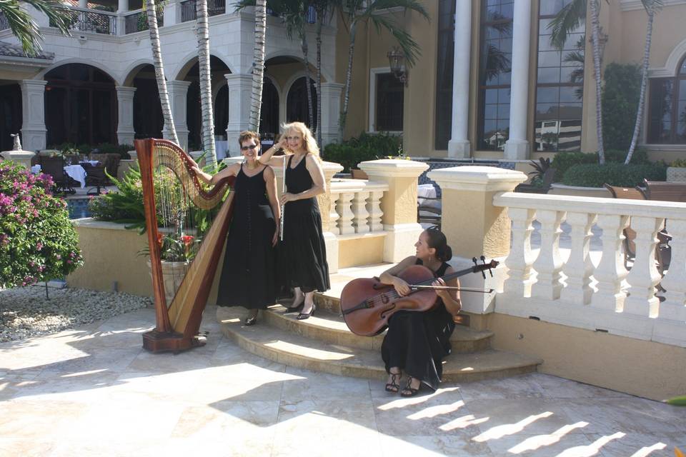South Florida String Trio
