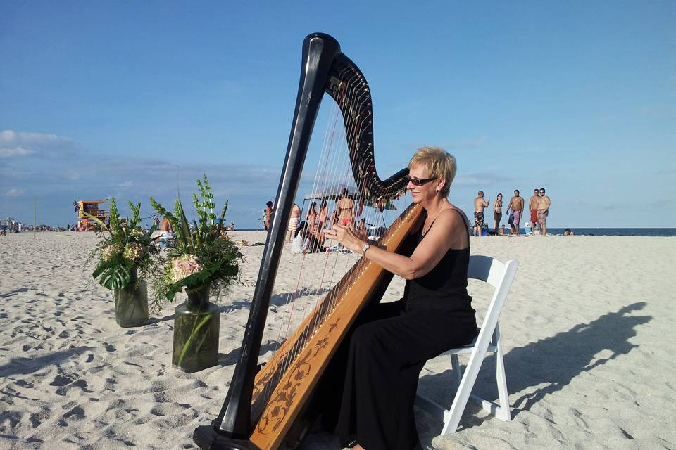 Solo harp at the beach