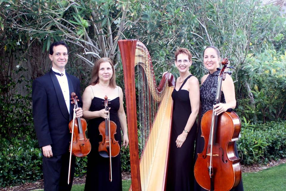 South Florida String quartet