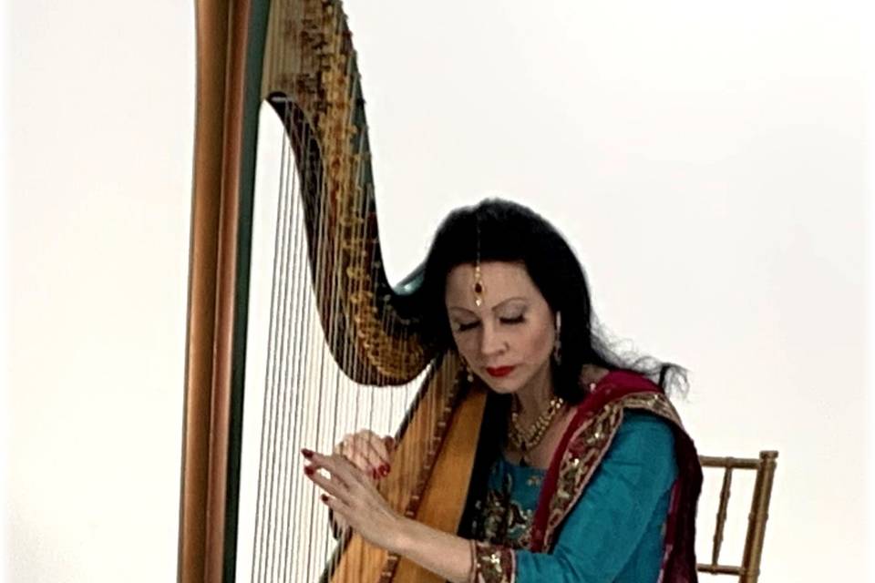 Indian wedding Harpist
