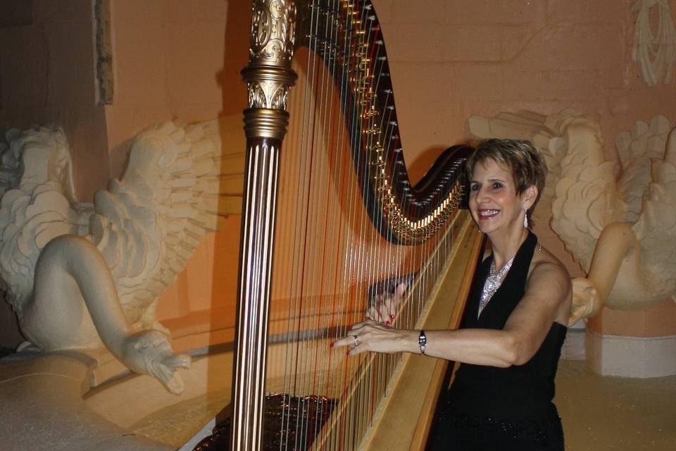 The Elegant Harp