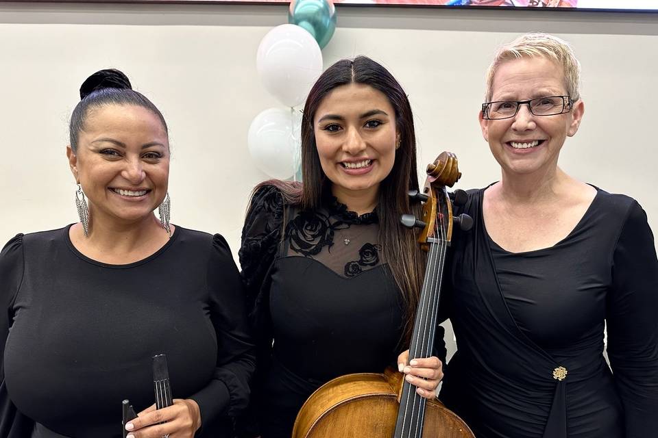 Elegant Harp String Trio