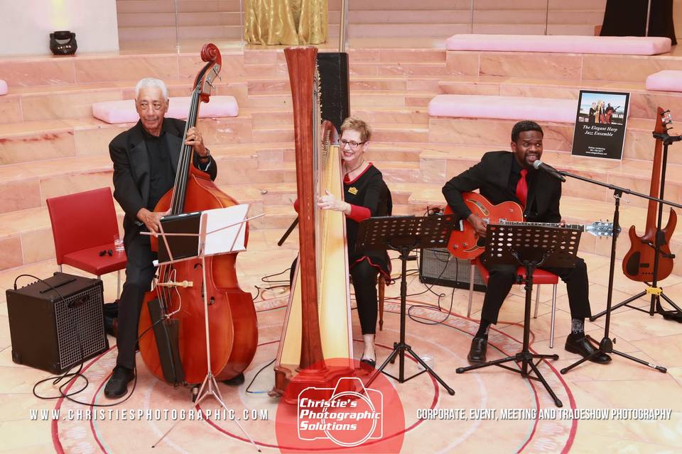 Jazz trio at Faena