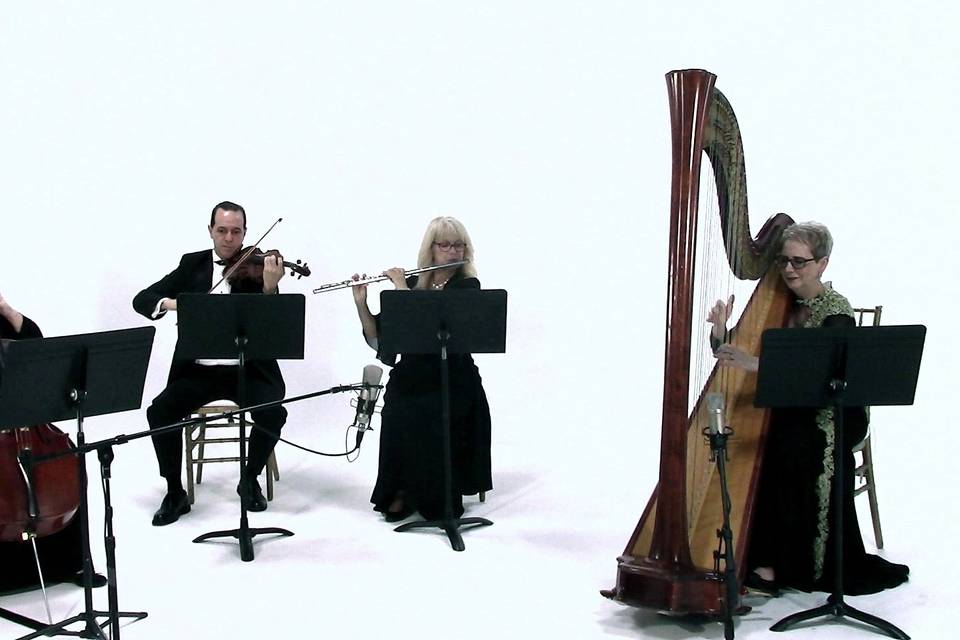 Elegant Harp Ensemble