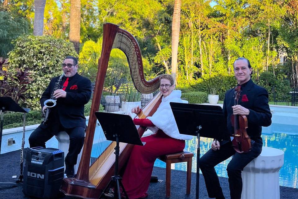 The Elegant Harp Trio