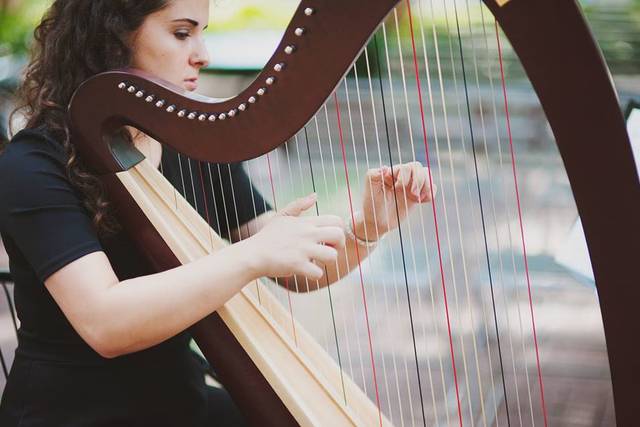 Ellen's Harp Music
